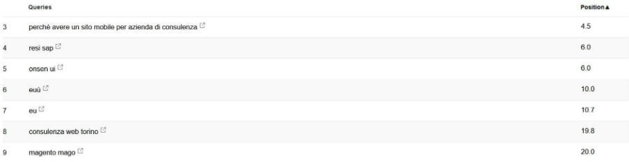Elenco delle query di ricerca utilizzate dagli Utenti su Google search
